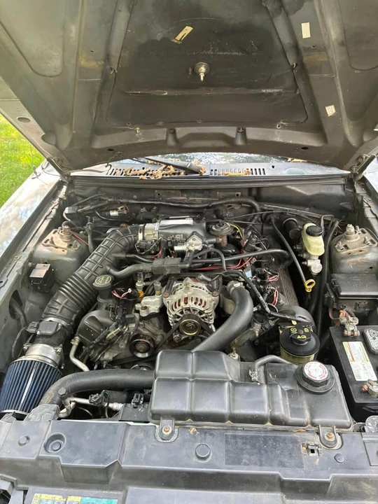 2003 Ford SN95 Mustang - Image 2 of 5