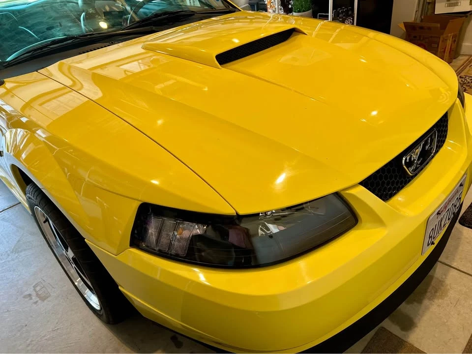 2003 Ford SN95 Mustang - Image 6 of 20