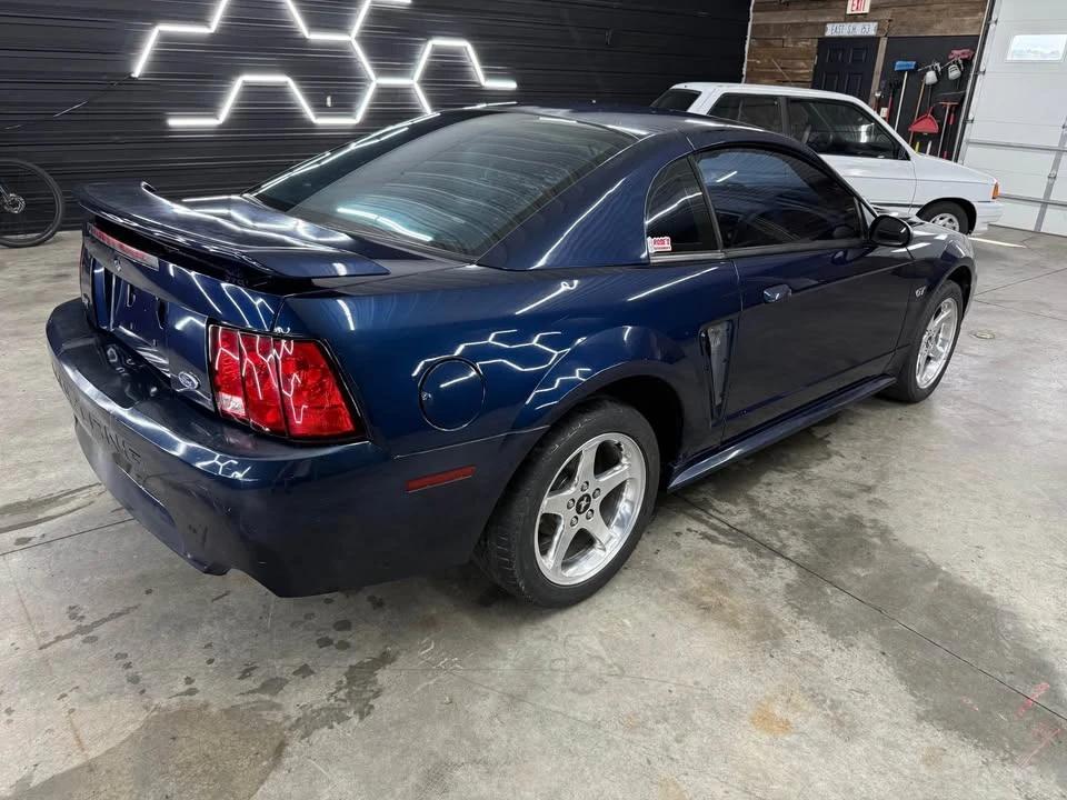 2003 Ford SN95 Mustang - Image 3 of 12
