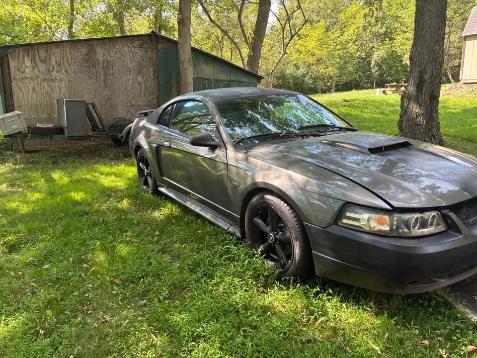 2003 Ford SN95 Mustang - Image 4 of 5