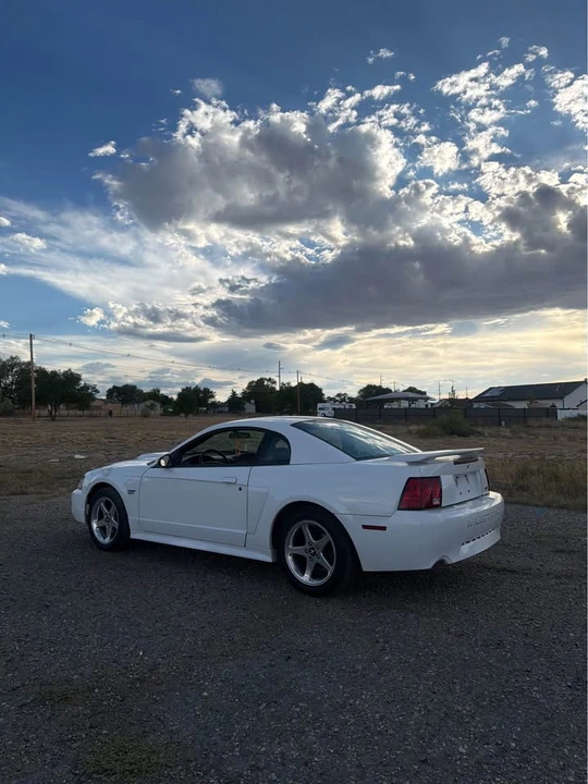 2003 Ford SN95 Mustang - Image 8 of 11