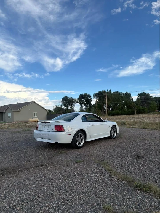 2003 Ford SN95 Mustang - Image 5 of 11