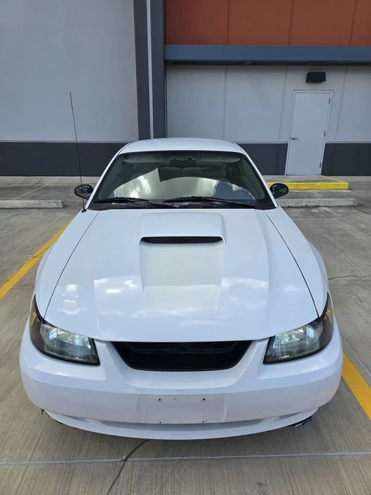 2003 Ford SN95 Mustang - Image 2 of 12