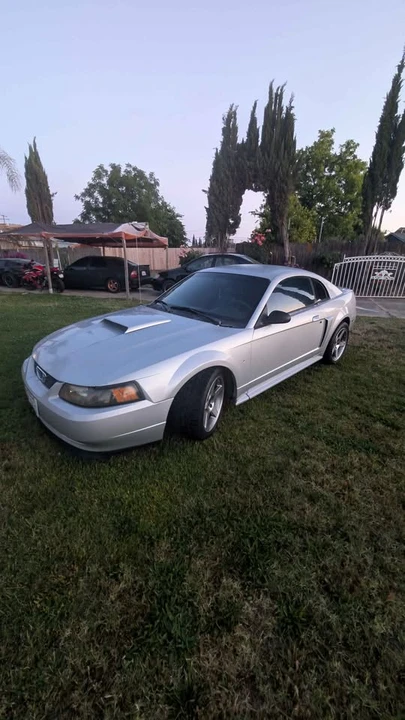 2003 Ford SN95 Mustang - Image 3 of 8