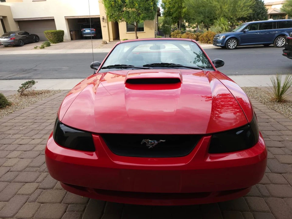 2003 Ford SN95 Mustang - Image 6 of 8
