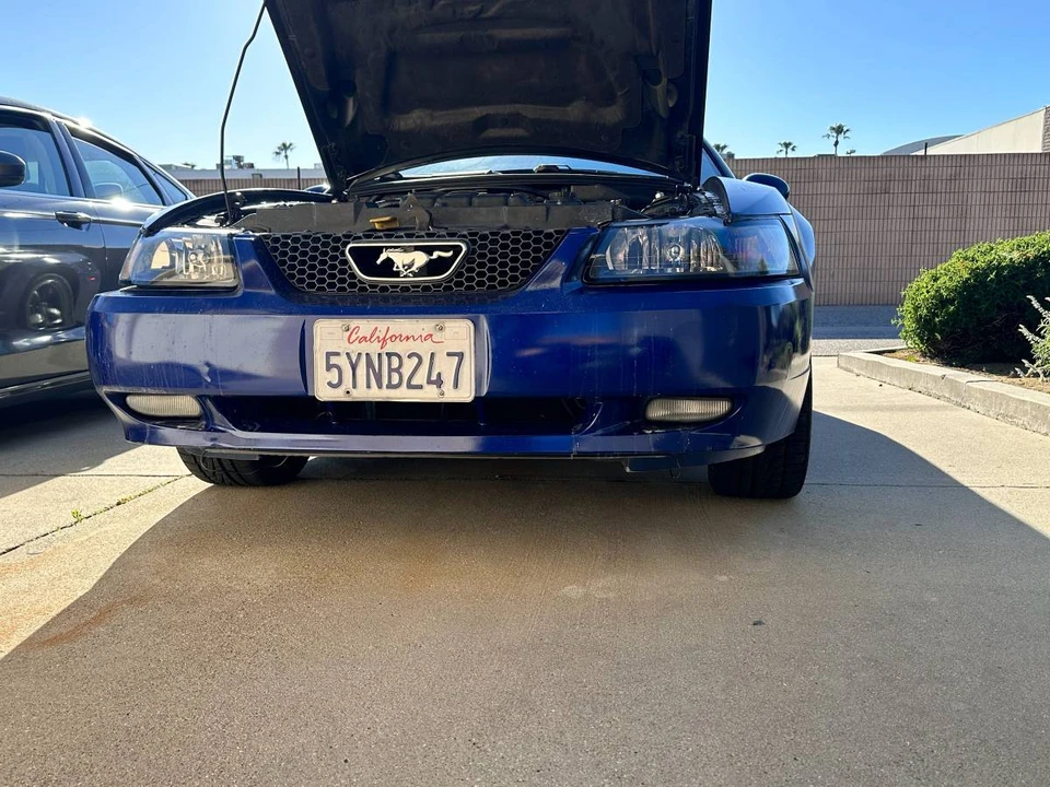 2003 Ford SN95 Mustang - Image 8 of 10