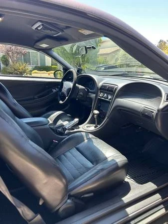 2003 Ford SN95 Mustang - Image 11 of 12