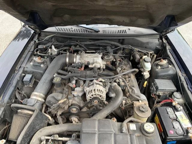 2003 Ford SN95 Mustang - Image 12 of 14