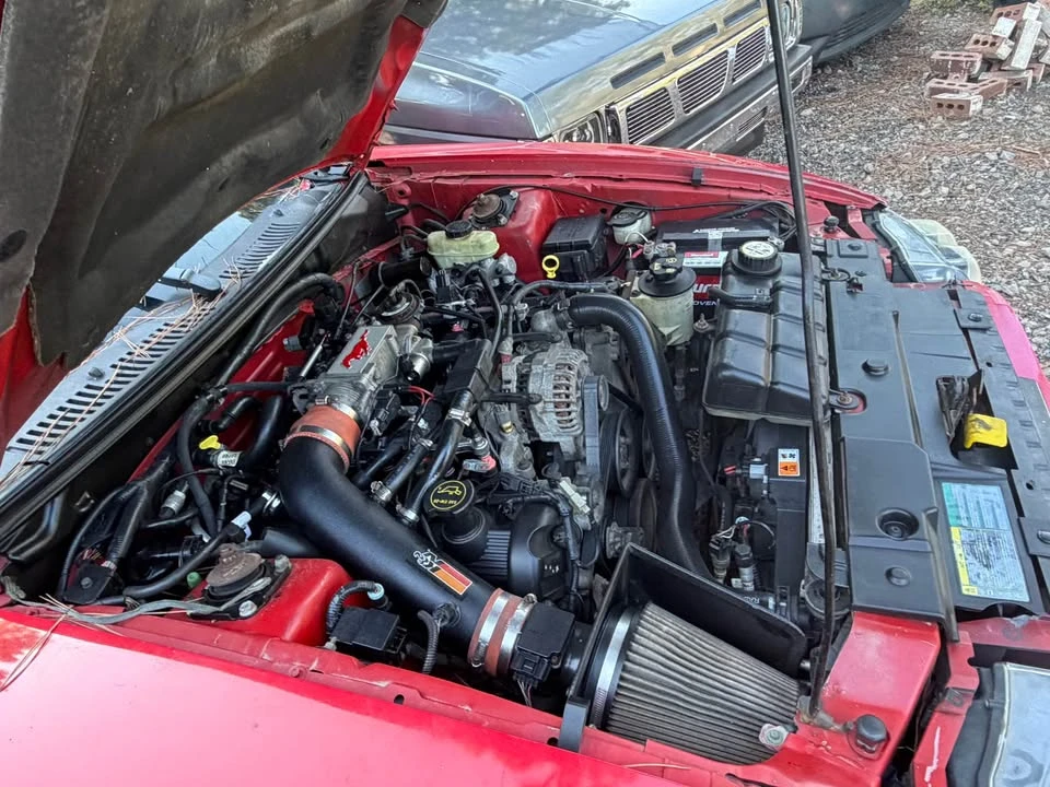 2003 Ford SN95 Mustang - Image 3 of 14