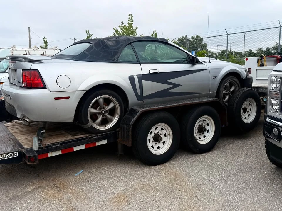 2003 Ford SN95 Mustang - Image 3 of 10