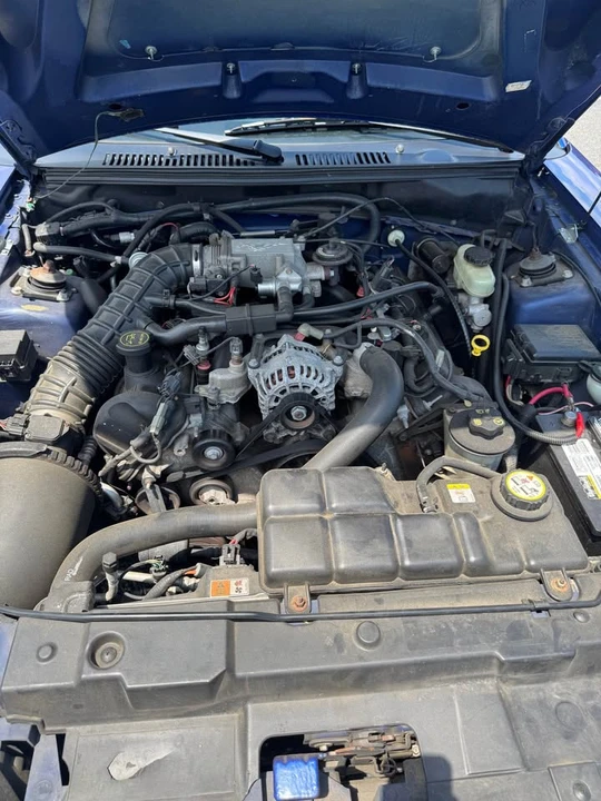 2003 Ford SN95 Mustang - Image 6 of 10