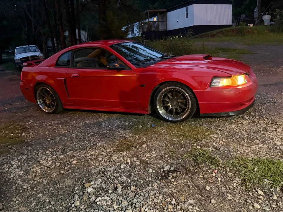 2003 Ford SN95 Mustang - Image 14 of 14