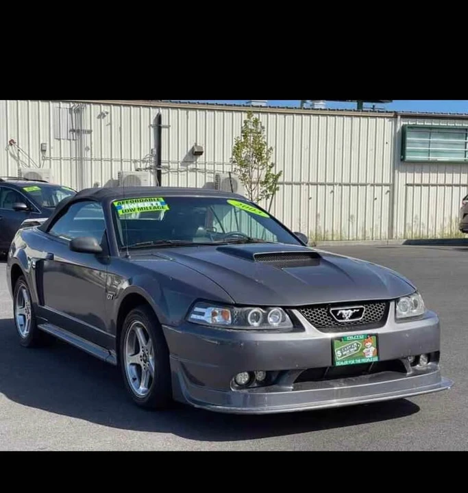 2003 Ford SN95 Mustang - Image 4 of 6