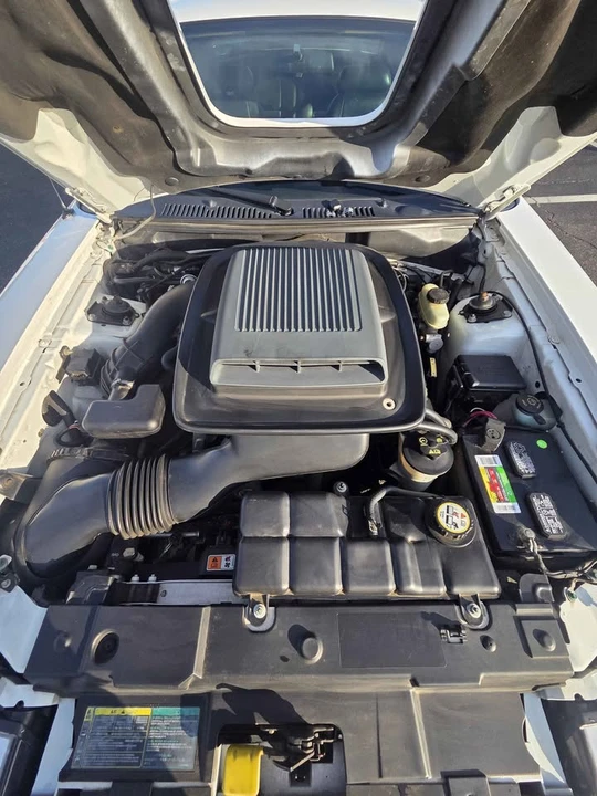 2003 Ford SN95 Mustang - Image 15 of 21