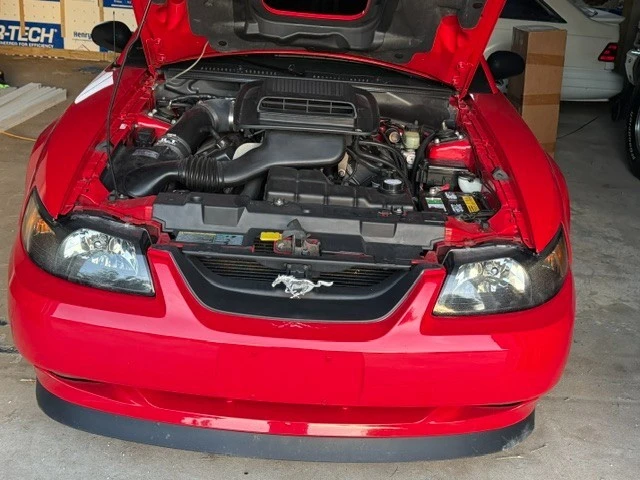 2003 Ford SN95 Mustang - Image 13 of 13