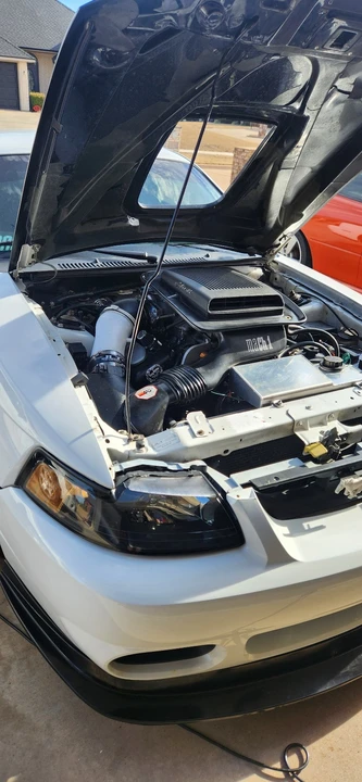 2003 Ford SN95 Mustang - Image 2 of 15