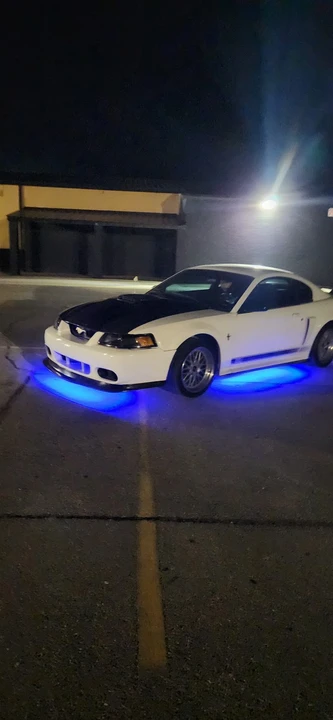 2003 Ford SN95 Mustang - Image 5 of 15