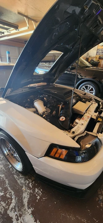 2003 Ford SN95 Mustang - Image 15 of 15