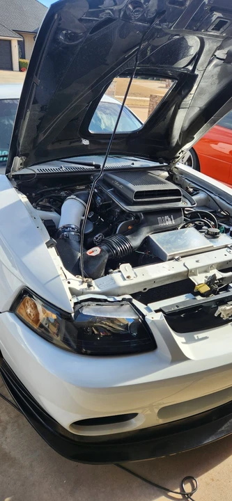 2003 Ford SN95 Mustang - Image 2 of 15