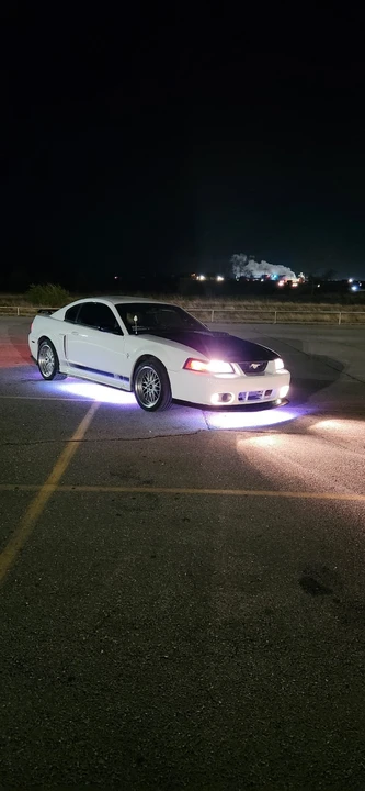 2003 Ford SN95 Mustang - Image 4 of 15