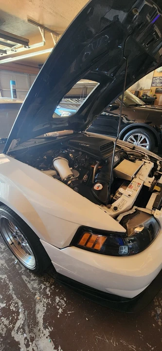 2003 Ford SN95 Mustang - Image 15 of 15