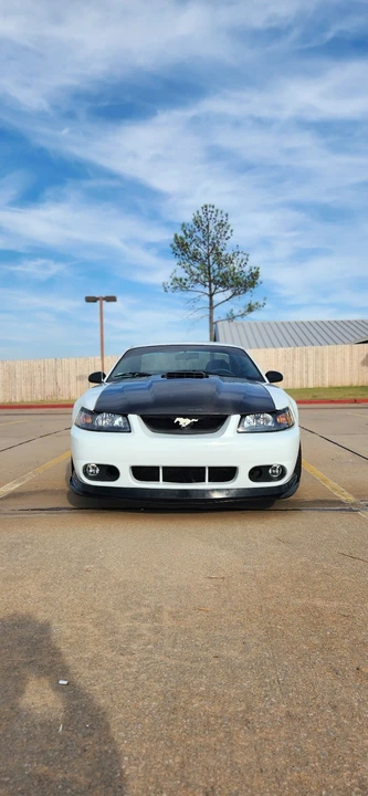 2003 Ford SN95 Mustang - Image 9 of 15