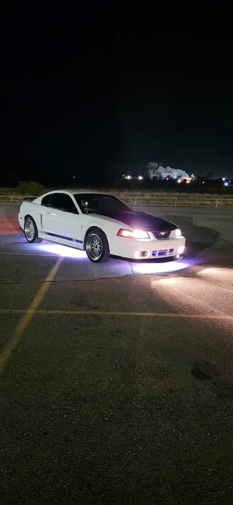 2003 Ford SN95 Mustang - Image 4 of 15