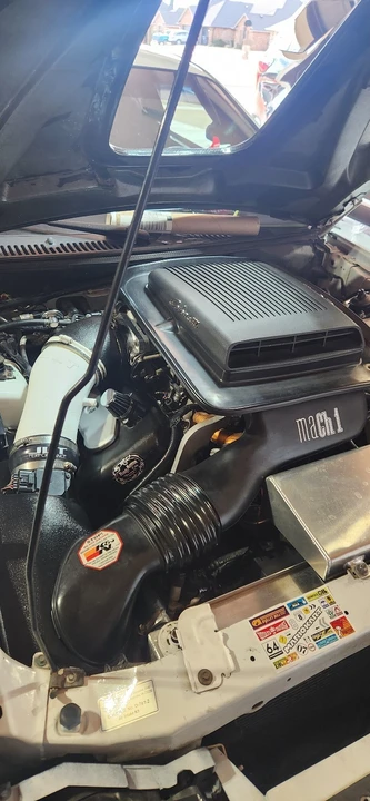2003 Ford SN95 Mustang - Image 13 of 15