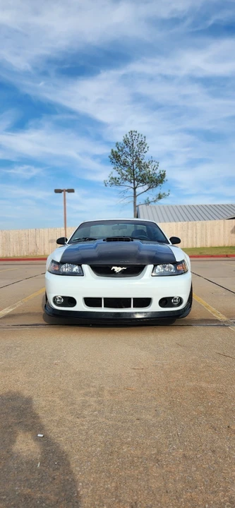 2003 Ford SN95 Mustang - Image 9 of 15
