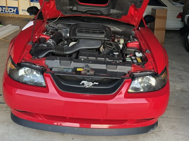 2003 Ford SN95 Mustang - Image 4 of 12