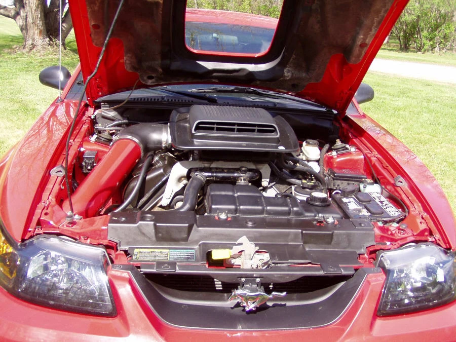 2003 Ford SN95 Mustang - Image 3 of 3