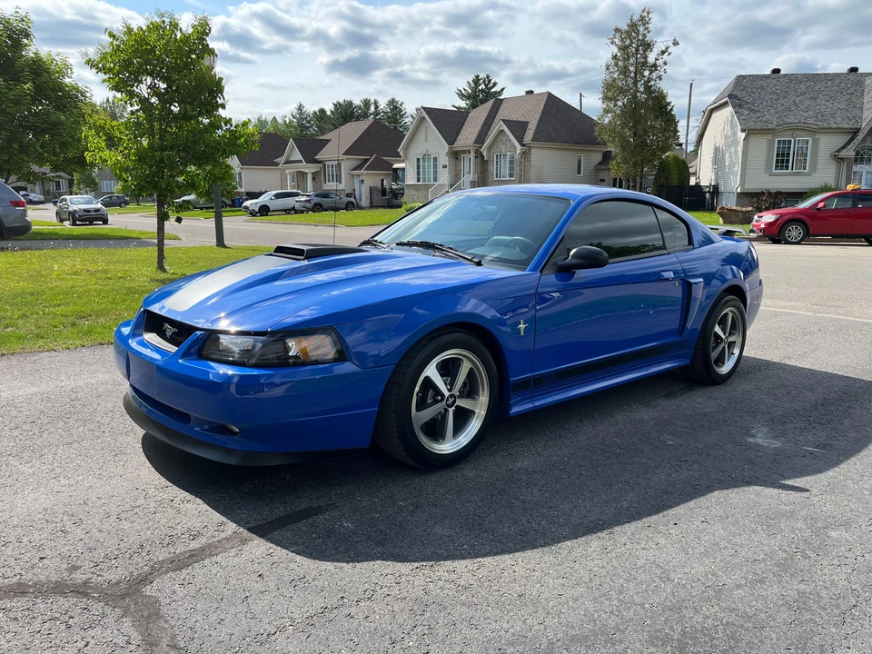 2003 Ford SN95 Mustang - Image 6 of 31