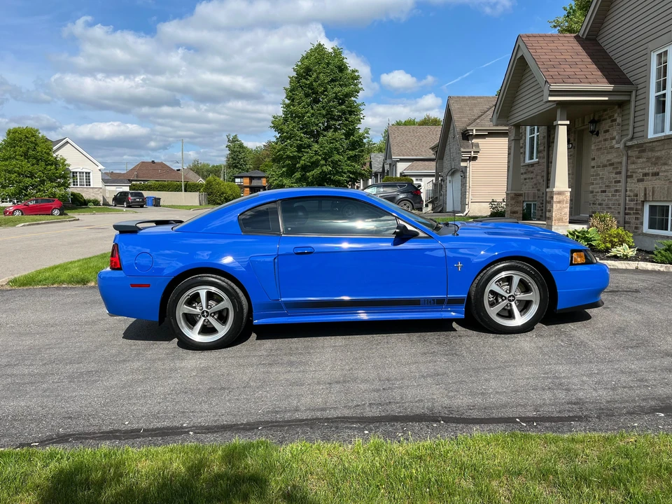 2003 Ford SN95 Mustang - Image 8 of 31