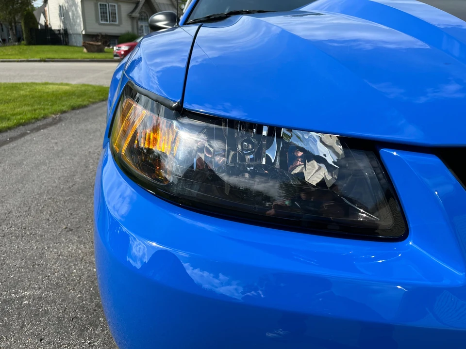2003 Ford SN95 Mustang - Image 10 of 31