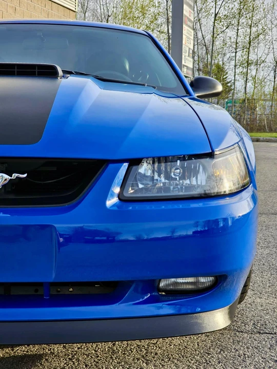 2003 Ford SN95 Mustang - Image 11 of 31