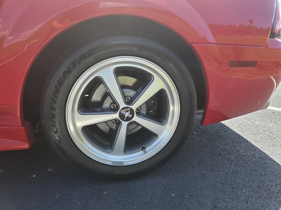 2003 Ford SN95 Mustang - Image 23 of 31
