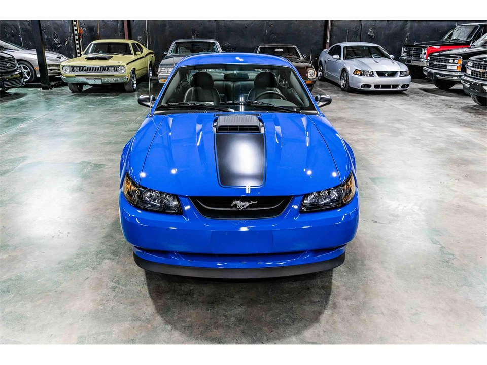 2003 Ford SN95 Mustang - Image 8 of 18