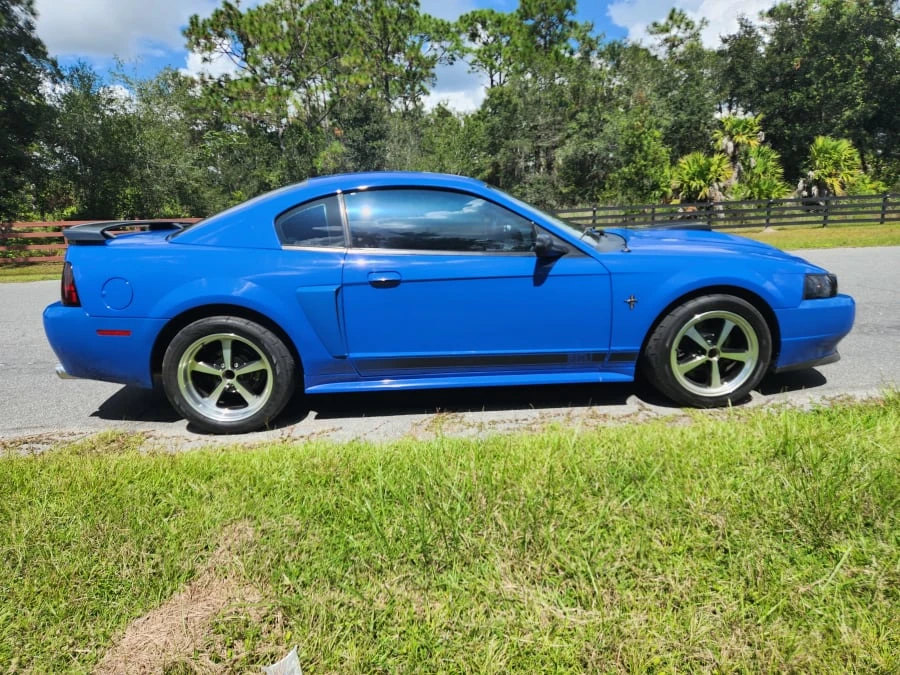2003 Ford SN95 Mustang - Image 19 of 31