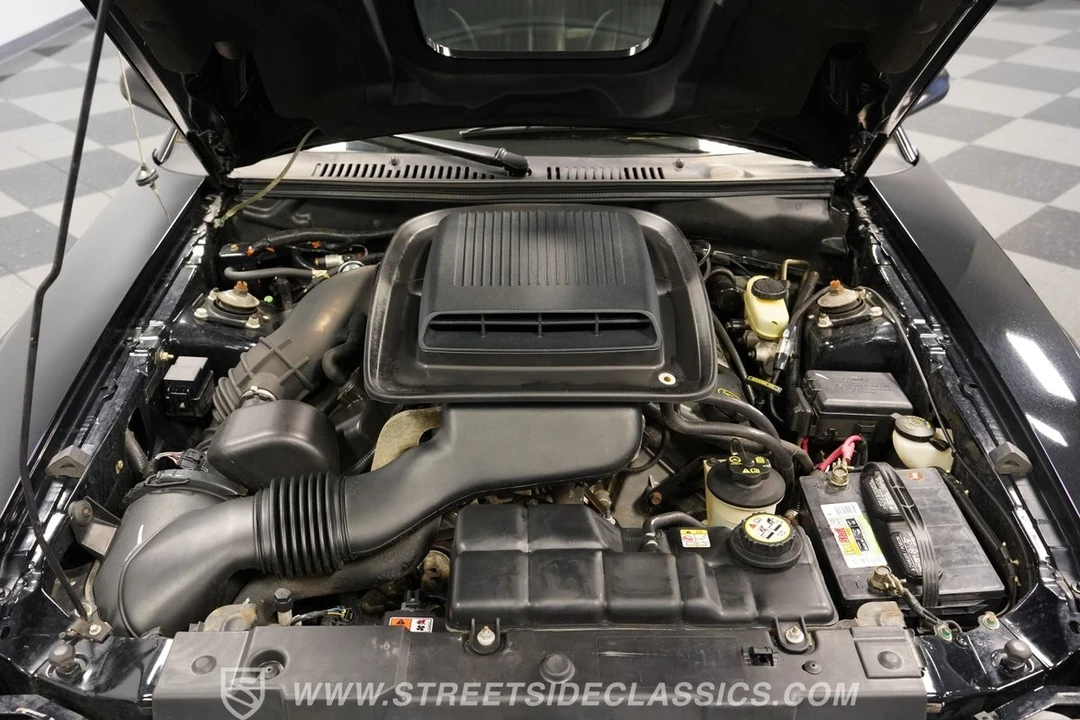 2003 Ford SN95 Mustang - Image 4 of 12
