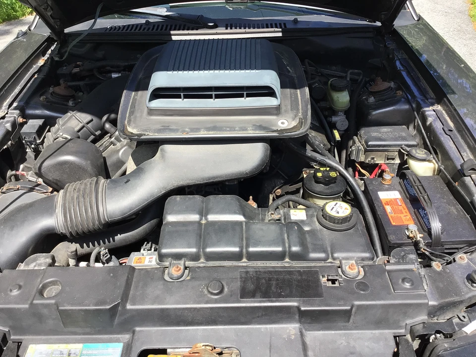 2003 Ford SN95 Mustang - Image 6 of 7
