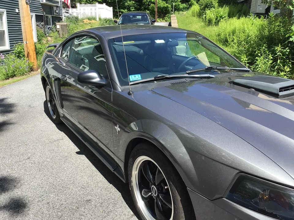 2003 Ford SN95 Mustang - Image 2 of 7