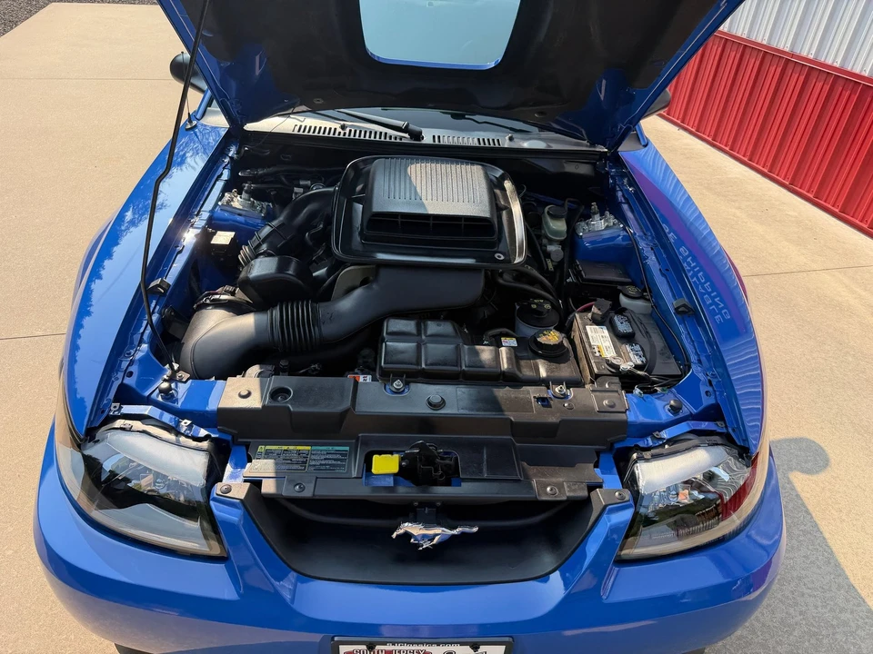 2003 Ford SN95 Mustang - Image 18 of 31