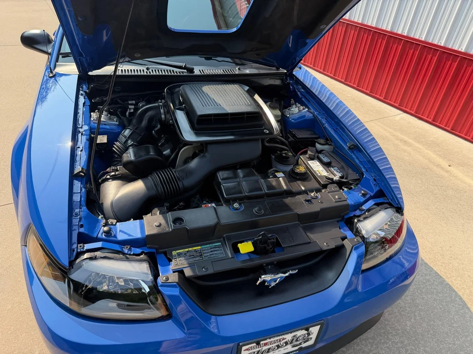 2003 Ford SN95 Mustang - Image 21 of 31
