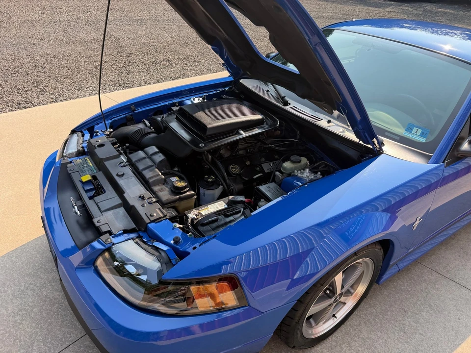 2003 Ford SN95 Mustang - Image 14 of 31