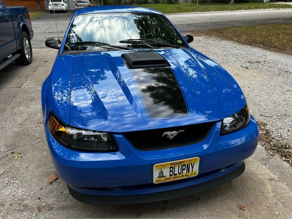 2003 Ford SN95 Mustang - Image 2 of 17
