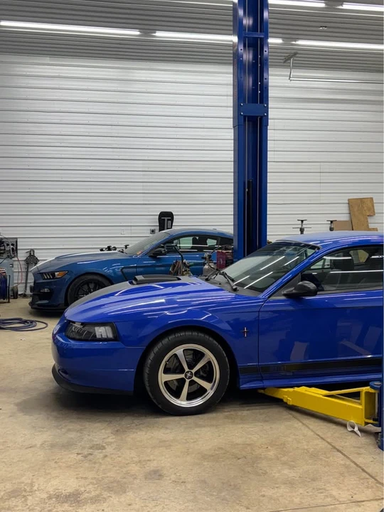 2003 Ford SN95 Mustang - Image 3 of 20