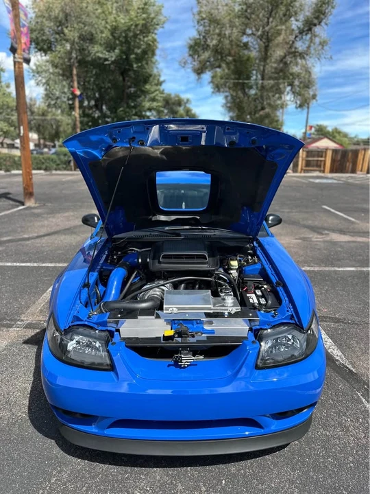 2003 Ford SN95 Mustang - Image 14 of 17