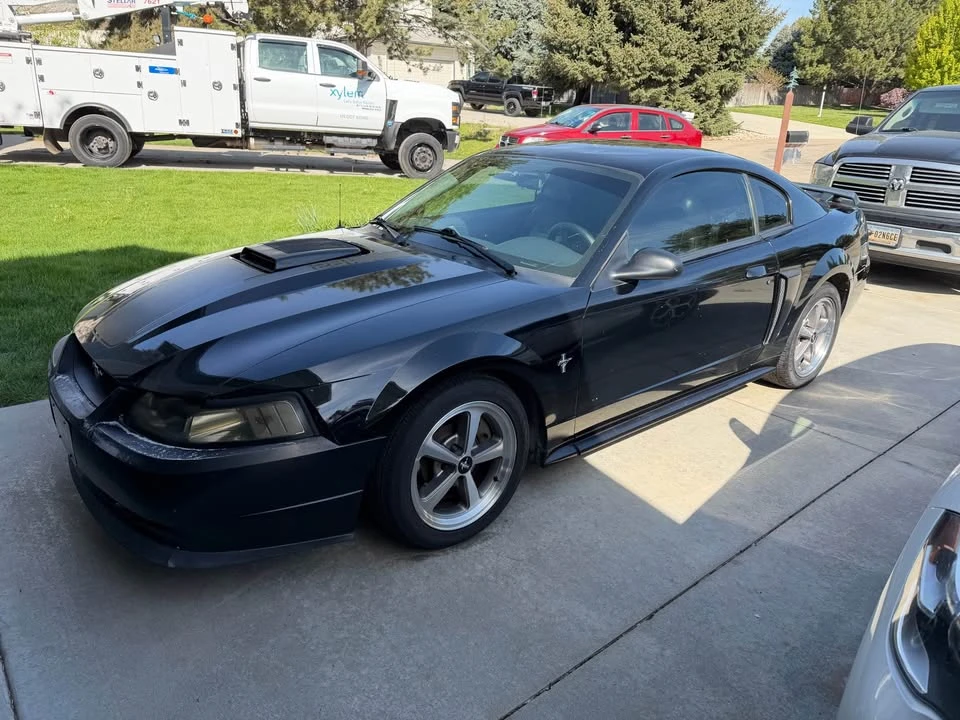 2003 Ford SN95 Mustang - Image 2 of 6