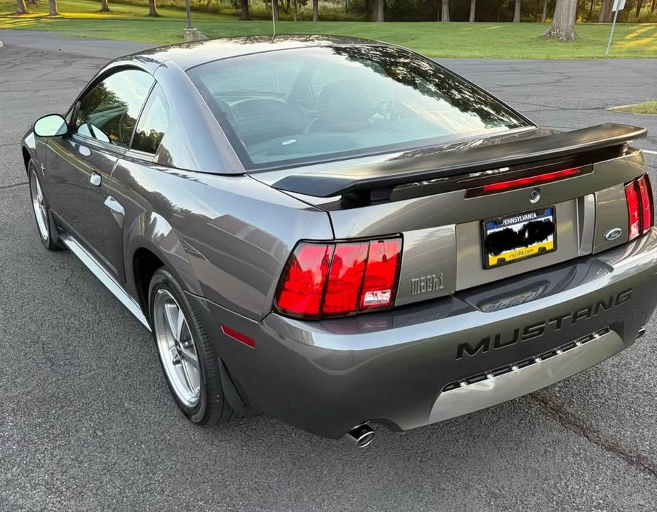 2003 Ford SN95 Mustang - Image 4 of 14