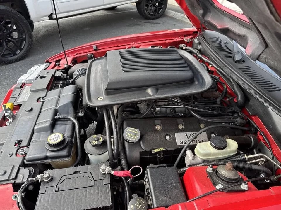 2003 Ford SN95 Mustang - Image 10 of 19